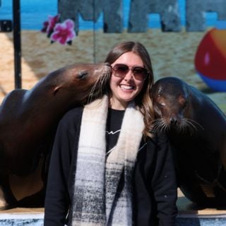 Sea Lions Thumbnail